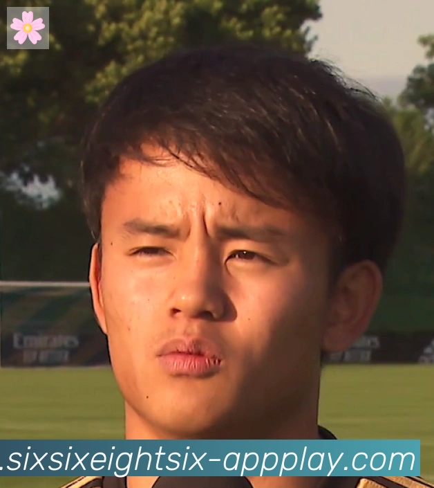 维尼修斯